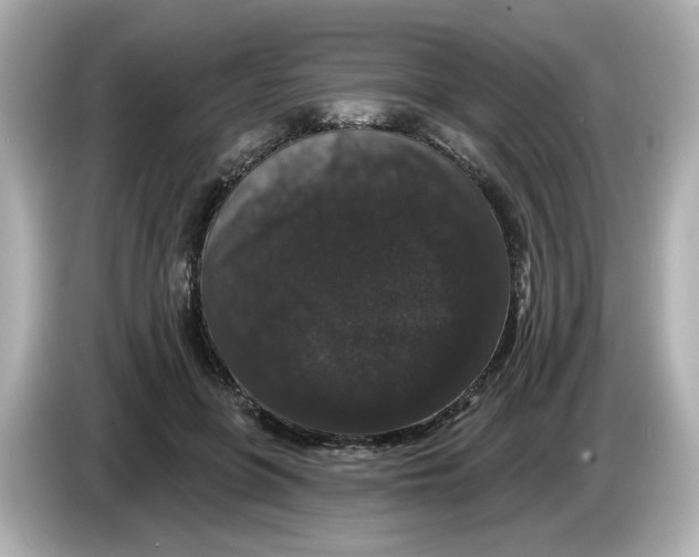 X0000085760551200704091336