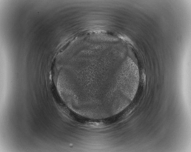 X0000085760552200704091336