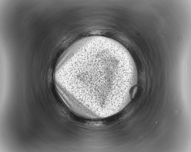 X0000085760554200704091336