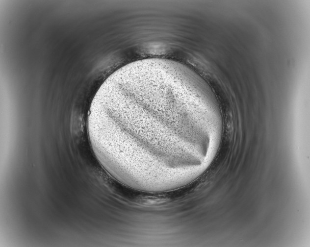 X0000085760555200704091336