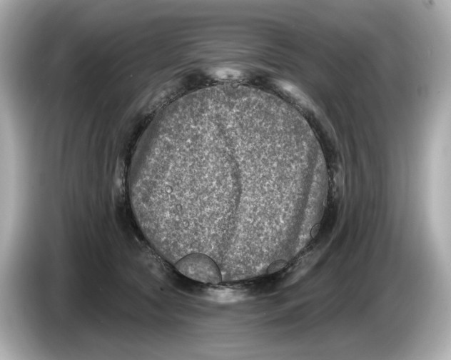 X0000085760561200704091336