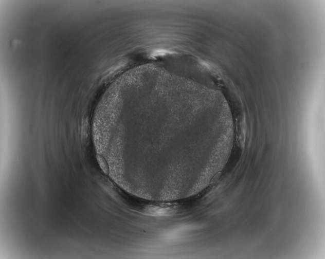X0000085760563200704091336