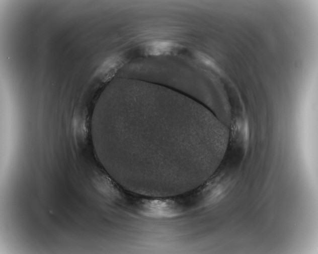 X0000085760566200704091336