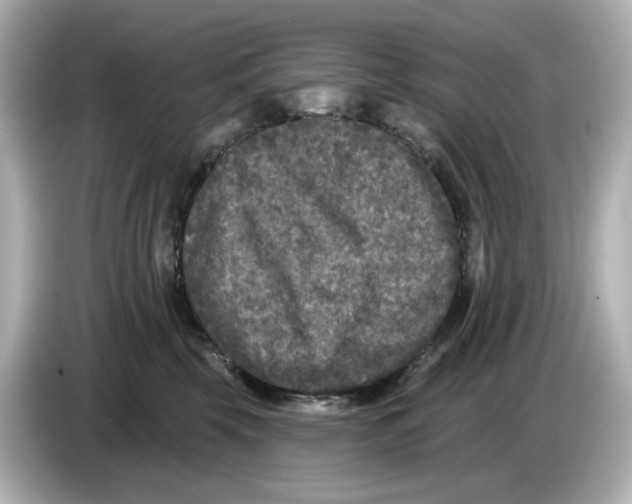X0000085760569200704091336