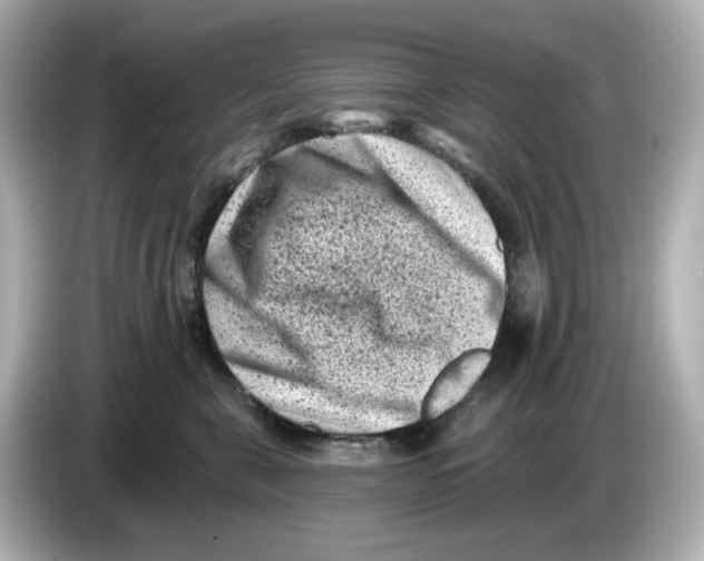 X0000085760571200704091336