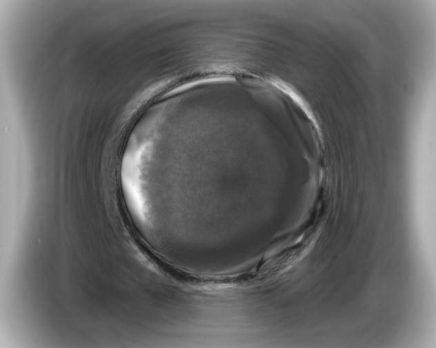 X0000085760577200704091336