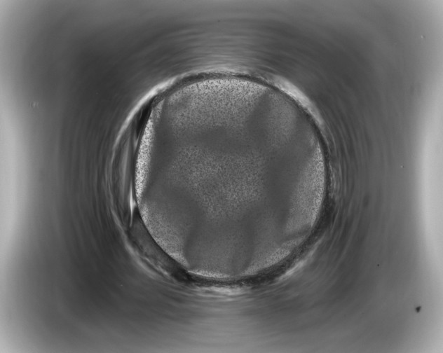 X0000085760580200704091336