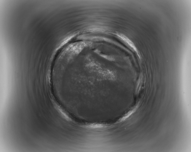 X0000085760581200704091336