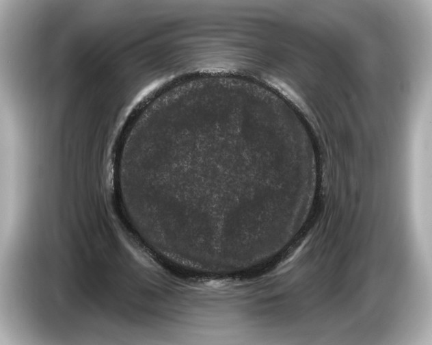 X0000085760584200704091336