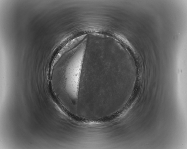 X0000085760585200704091336