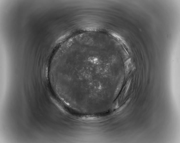 X0000085760589200704091336