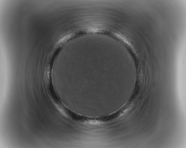 X0000085760590200704091336