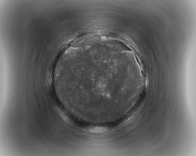 X0000085760593200704091336