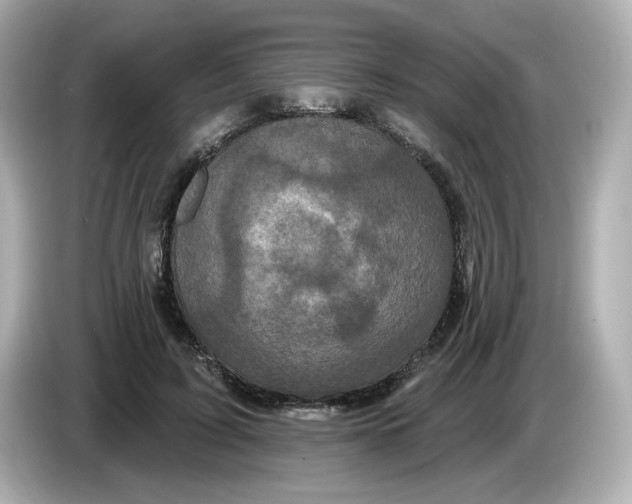 X0000085760595200704091336