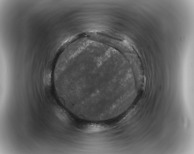 X0000085760596200704091336