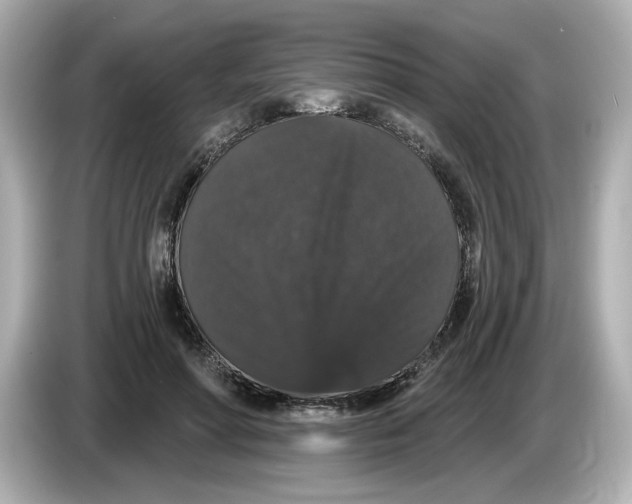 X0000085760598200704091336
