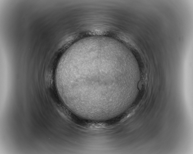 X0000085760599200704091336