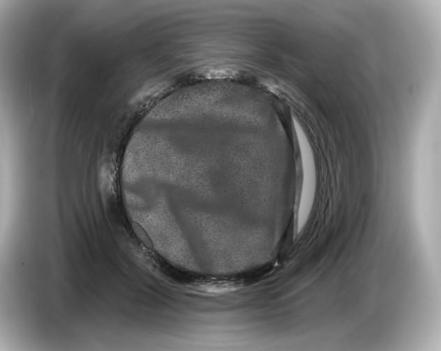 X0000085760604200704091336