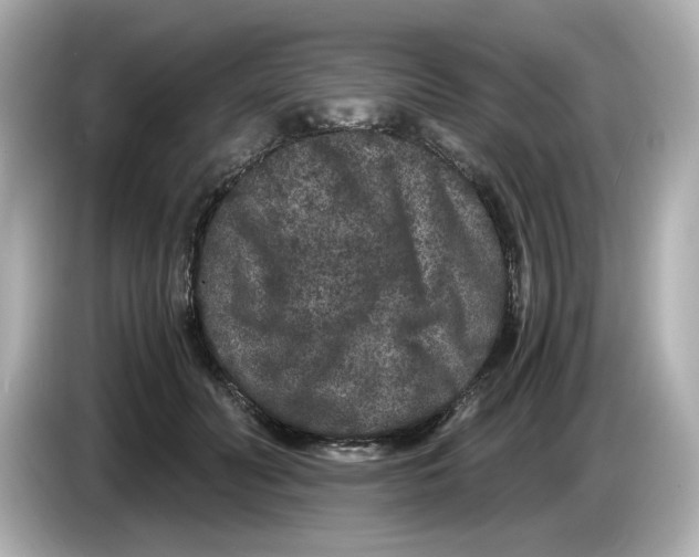 X0000085760606200704091336