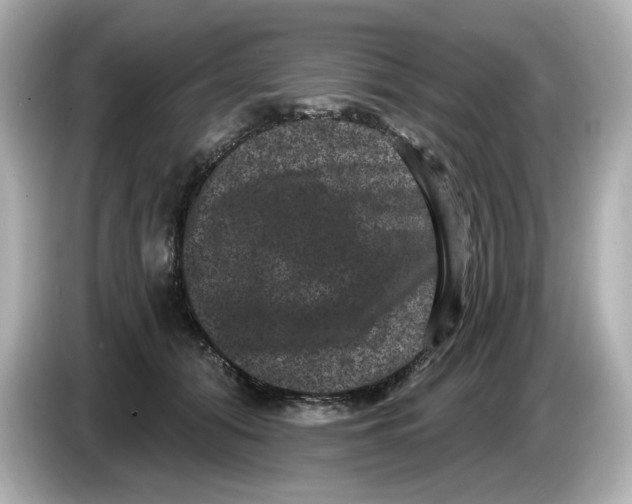 X0000085760608200704091335