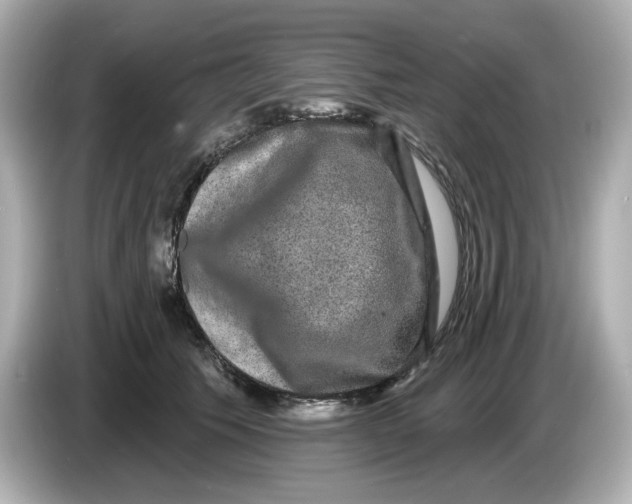 X0000085760609200704091335