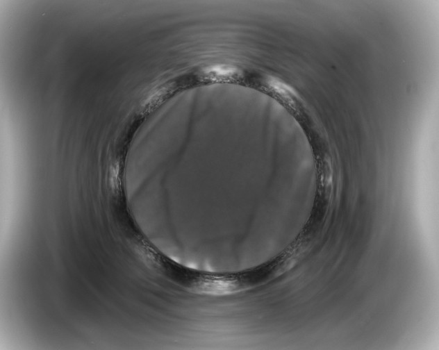 X0000085760610200704091335