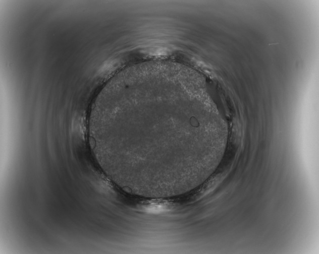 X0000085760612200704091335