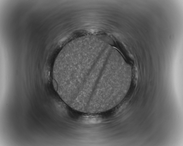 X0000085760615200704091335
