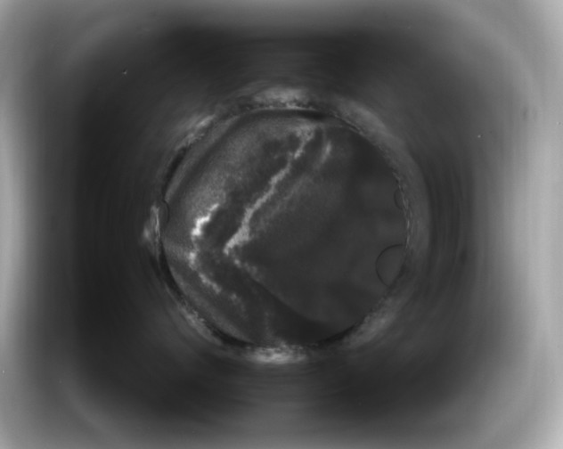 X0000085760624200704091335