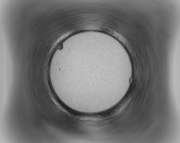 X0000085760625200704091335
