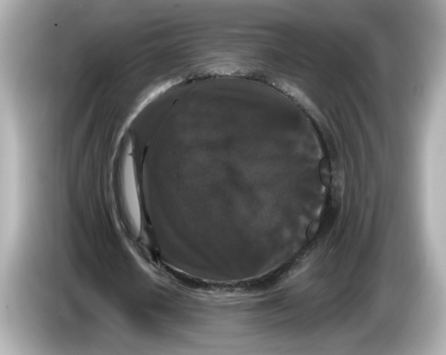 X0000085760626200704091335