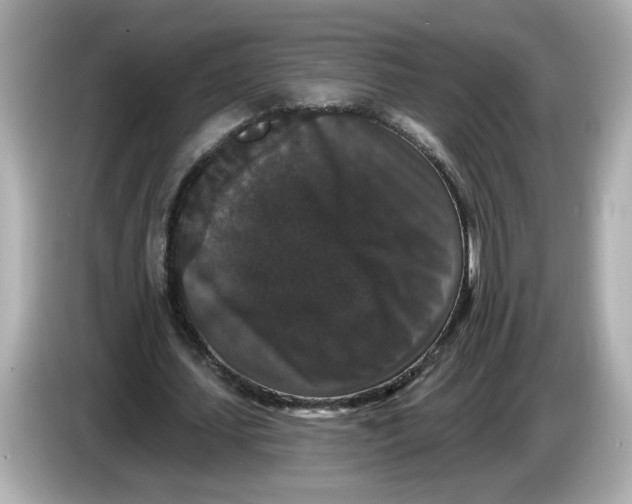 X0000085760627200704091335
