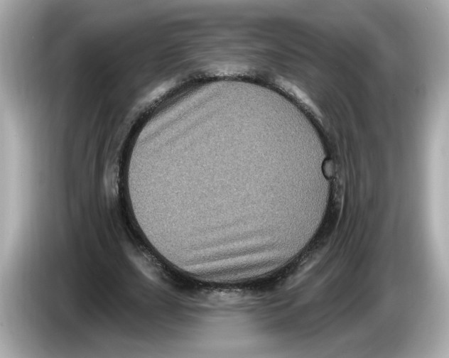 X0000085760631200704091335