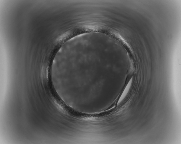 X0000085760637200704091335