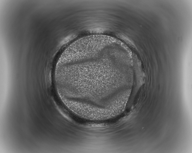 X0000085760638200704091335