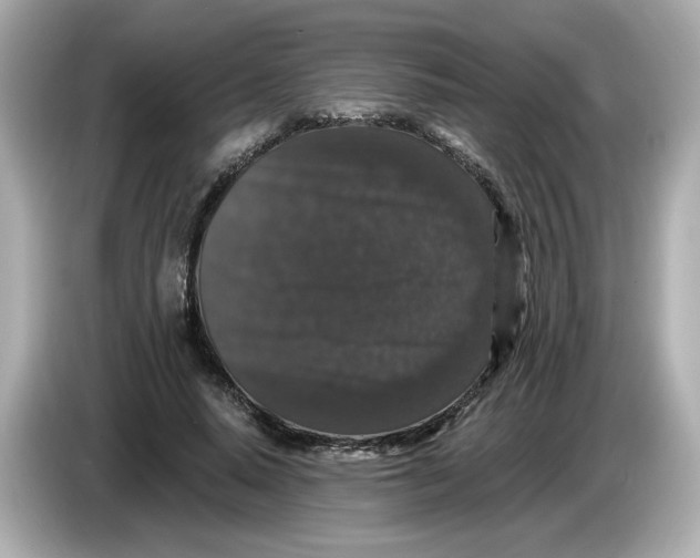 X0000085760640200704091335