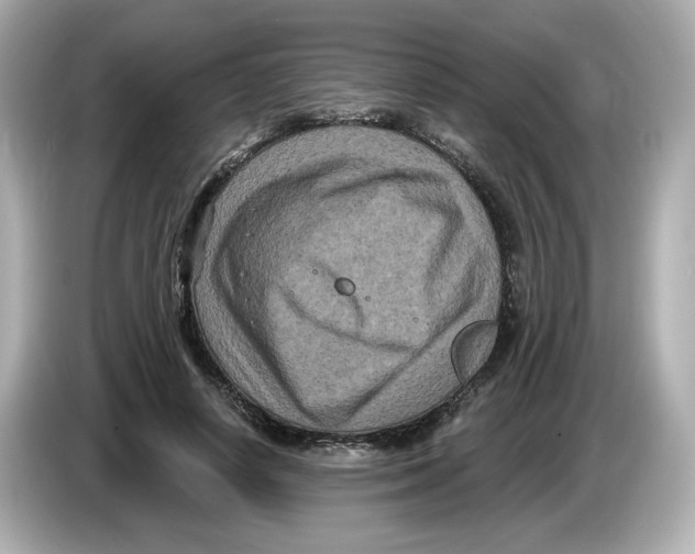 X0000085760642200704091335