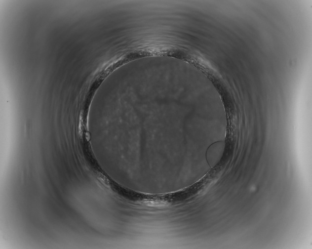 X0000085760644200704091335