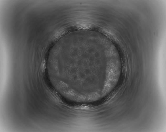 X0000085760647200704091335