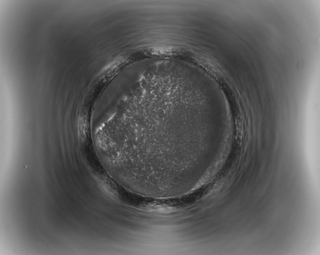 X0000085760648200704091335