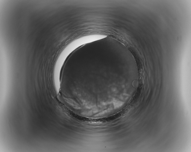 X0000085760650200704091335