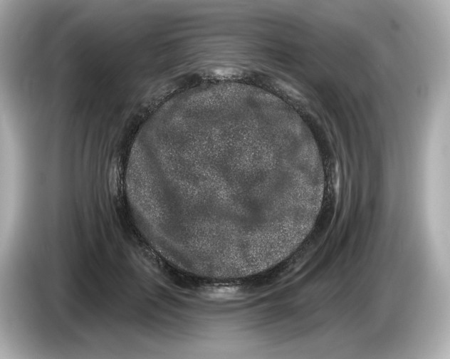 X0000085760651200704091335