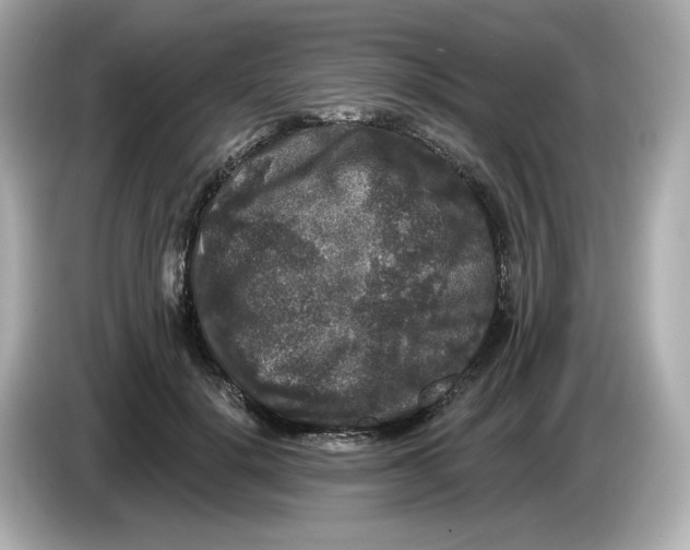 X0000085760652200704091335
