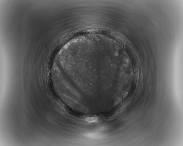 X0000085760653200704091335
