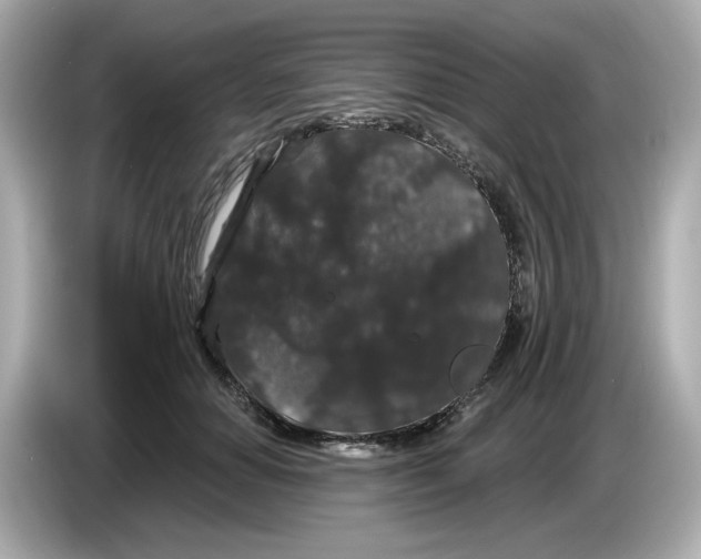 X0000085760654200704091335