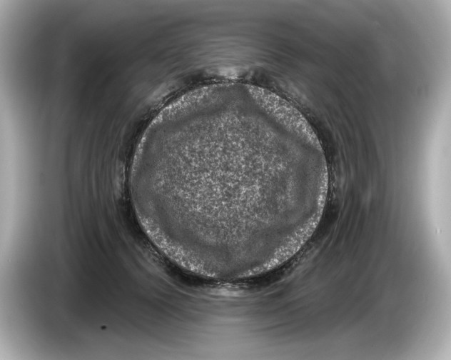 X0000085760656200704091335