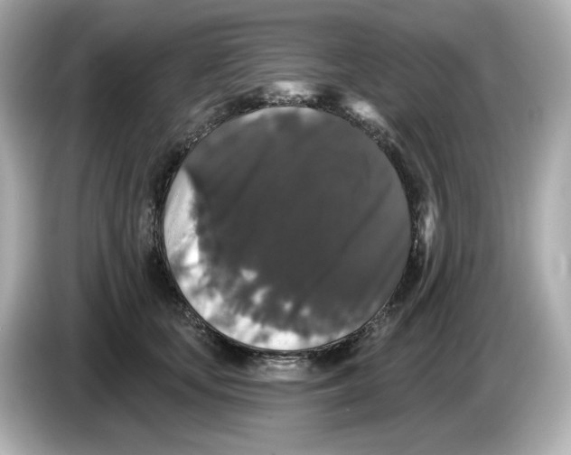 X0000085760659200704091335