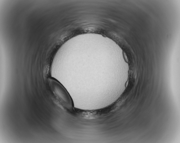 X0000085760660200704091335