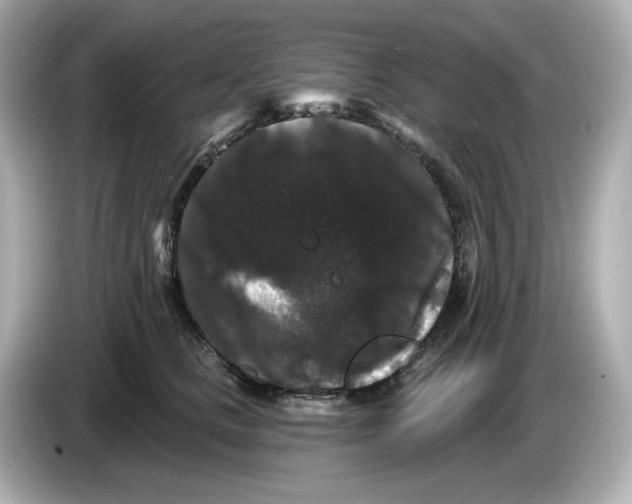 X0000085760661200704091335