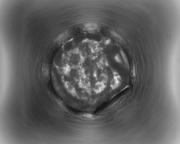 X0000085760662200704091335